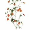 Abutilon Spray 53 in. Orange