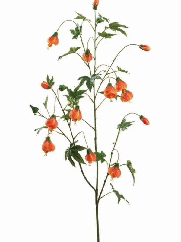Abutilon Spray 53 in. Orange
