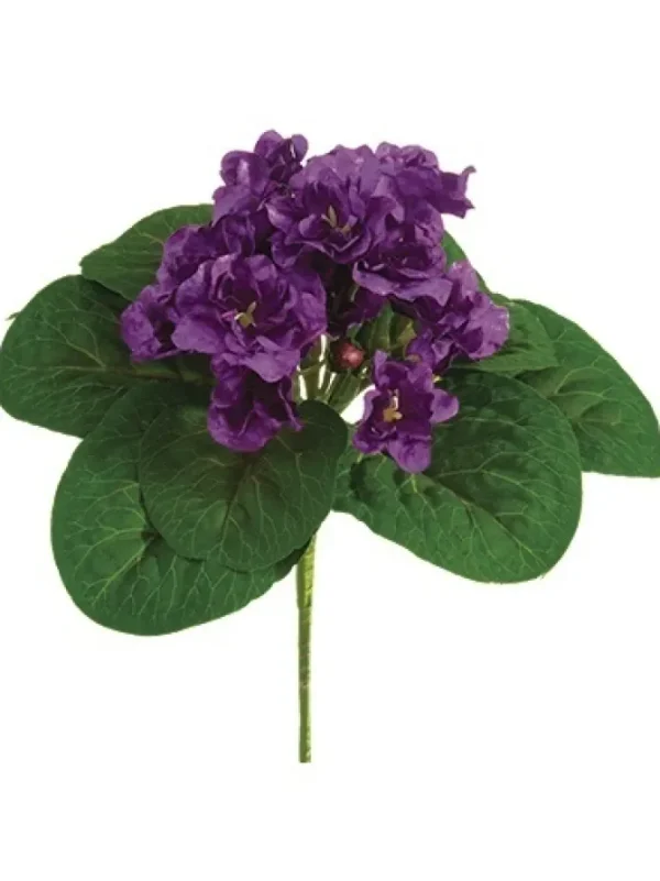 African Violet Bush 8 in. Purple
