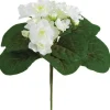 African Violet Bush 8 in. White