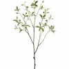 Almond Tree Branch 43 in.