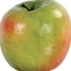 Apple Golden Delicious 3 in. Green/Mauve