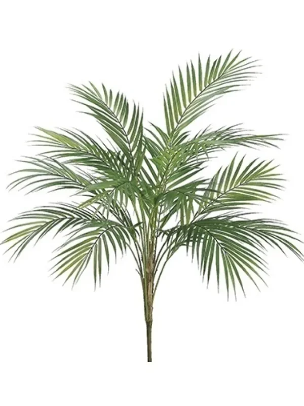 Areca Palm Plant 35 in.