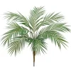 Areca Palm Plant 38 in.