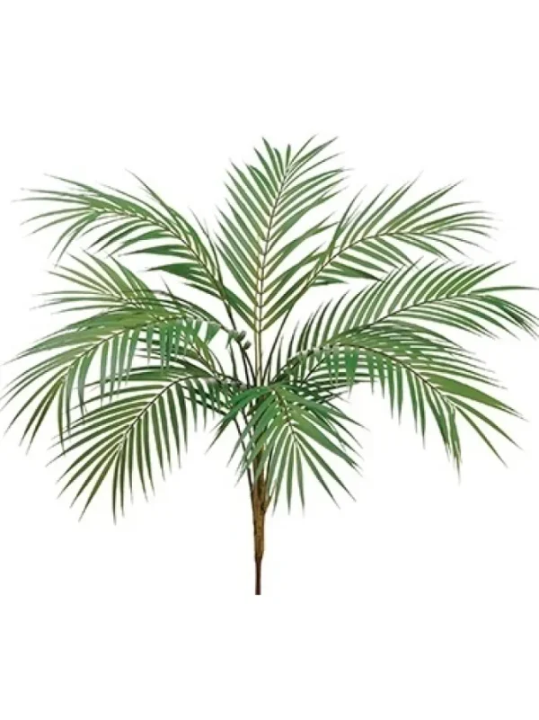 Areca Palm Plant 38 in.