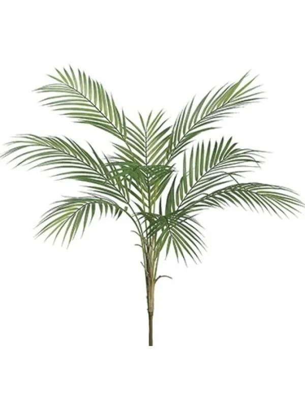 Areca Palm Plant 34 in.