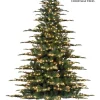 Asheville Noble LED 12 FT