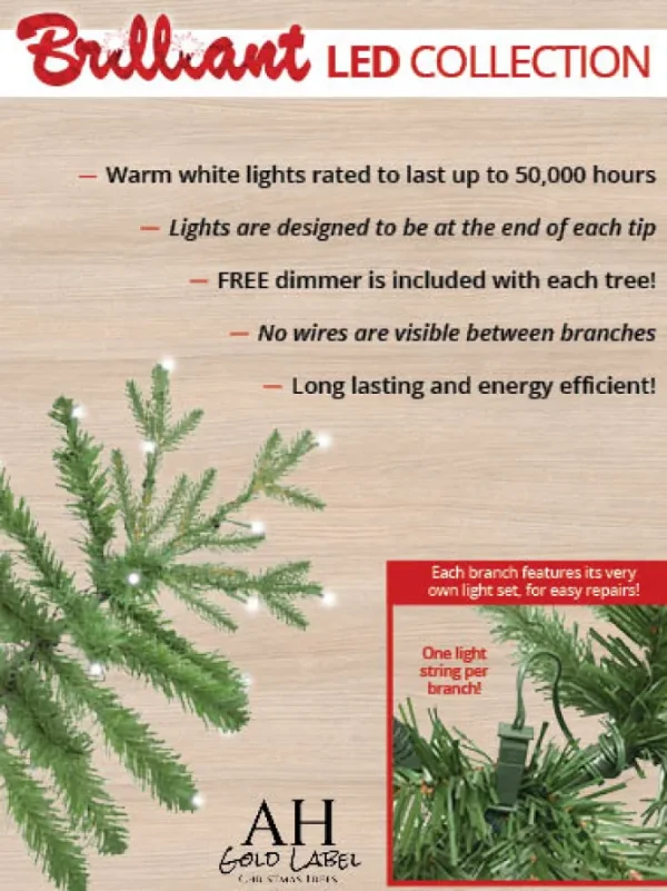 Asheville Noble LED 12 FT
