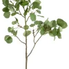 Aspen Spray 42 in. Green