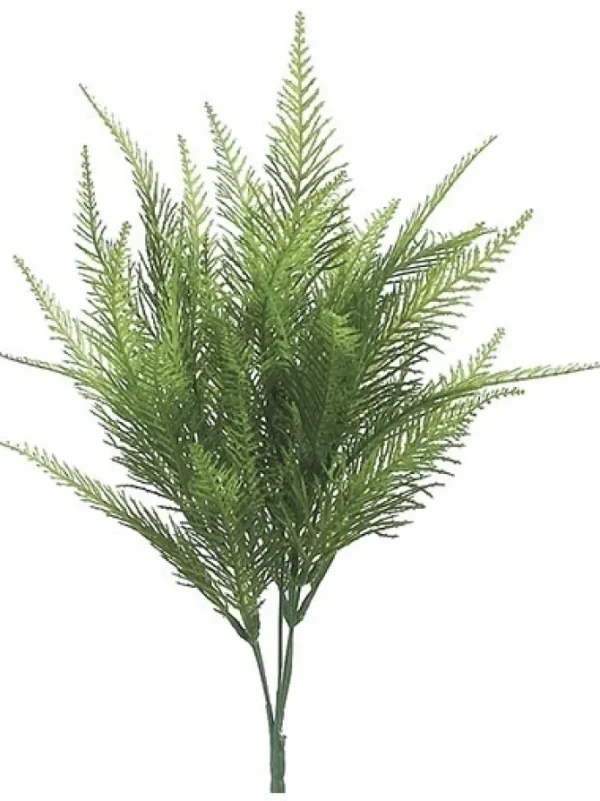 Australia Fern Bush 15 in.