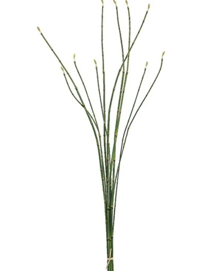 bamboo_bundle__in_green_0.webp Bamboo Bundle 37 in. Green
