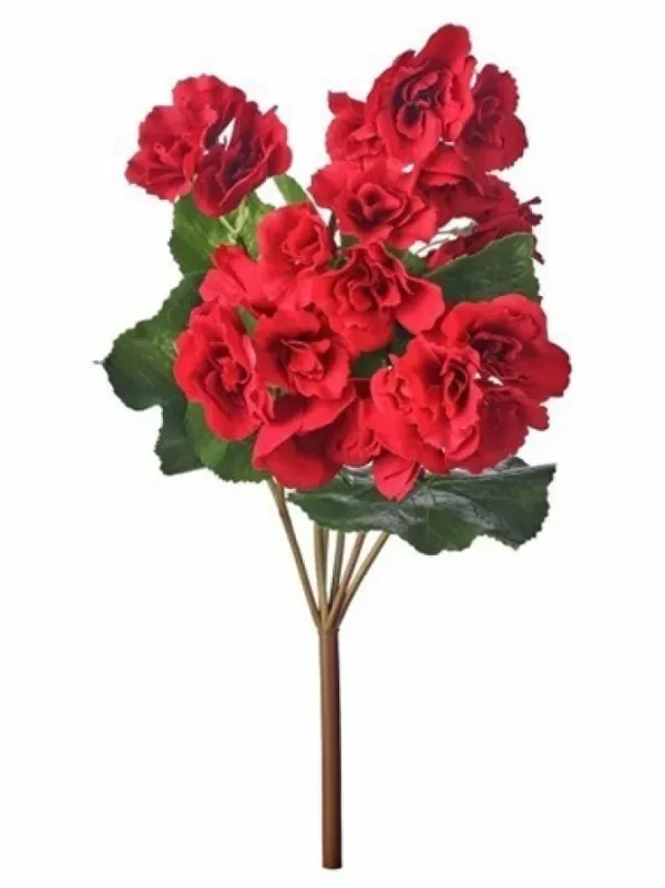 Begonia 17 in. Red
