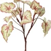 Begonia Leaf 23 in. Green / Burgundy
