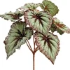 Begonia Leaf Bush 9 in.