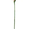 Bird of Paradise 38 in.