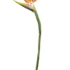 Bird of Paradise 46 in. Orange