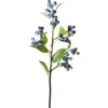 Blueberry Spray