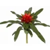 Bromeliad 15 in.