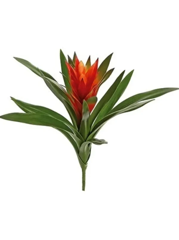 Bromeliad 16 in. Burgundy