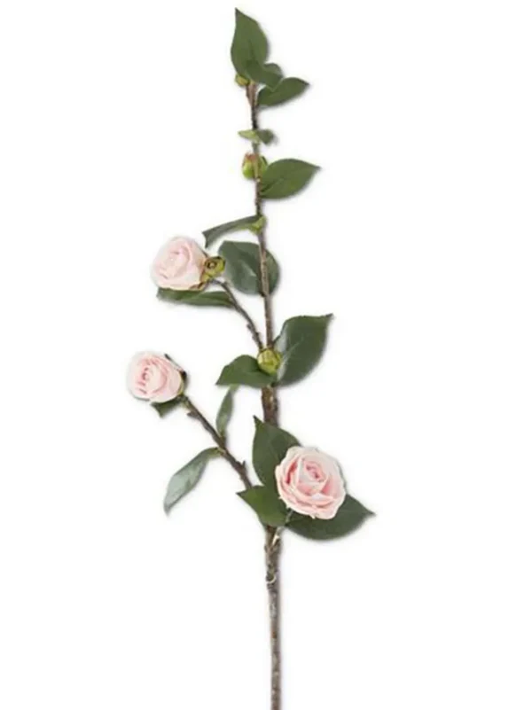 Camellia Stem 30 in. Pink