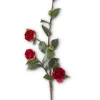 Camellia Stem 30 in. Red