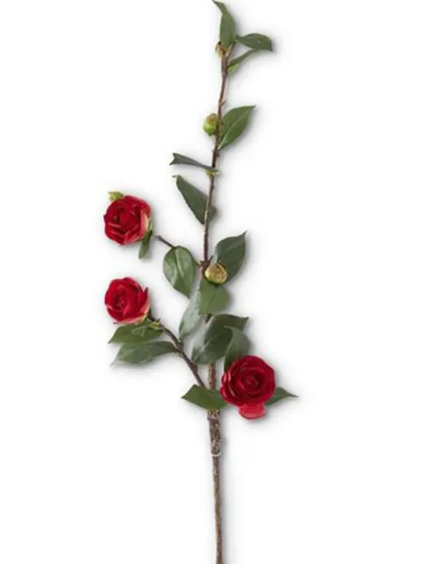 Camellia Stem 30 in. Red