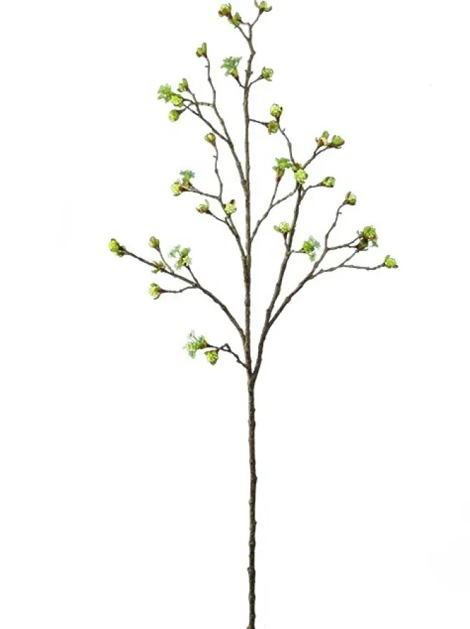 cherry_blossom_budding_br_0.webp Cherry Blossom Budding Branch 42 in. Cream / Green