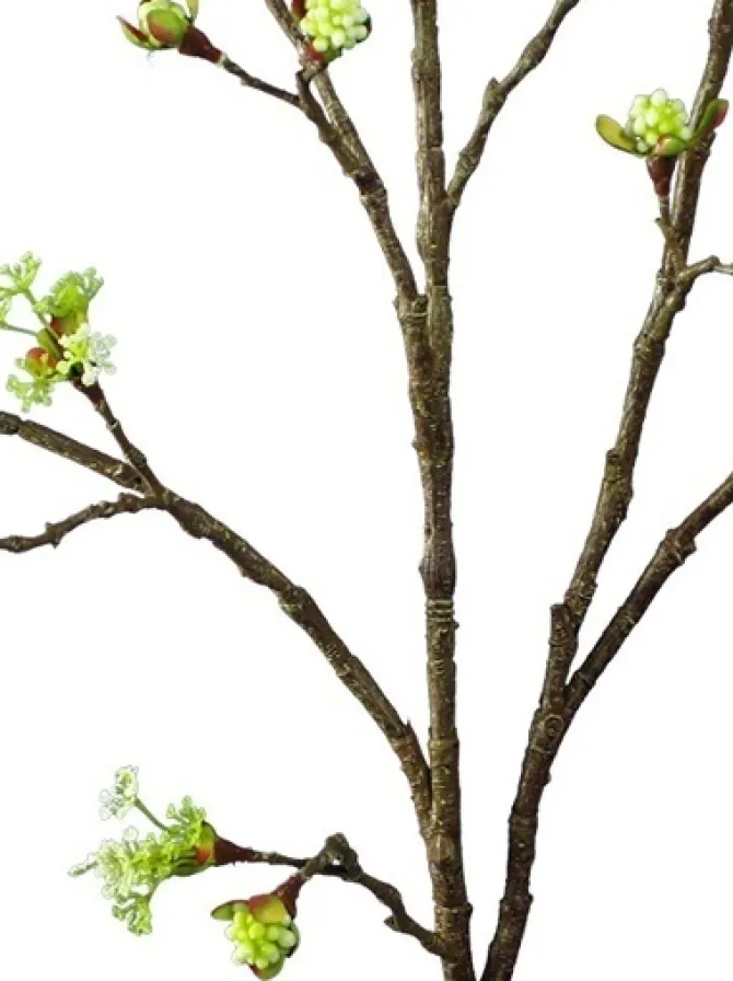 cherry_blossom_budding_br_1.webp Cherry Blossom Budding Branch 42 in. Cream / Green