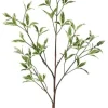 Coprosma 31 in. Green / White