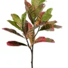 Croton Leaf Spray 37 in. Orange/Red/Green