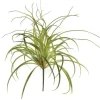 Curly Grass Bush 20 in. Green