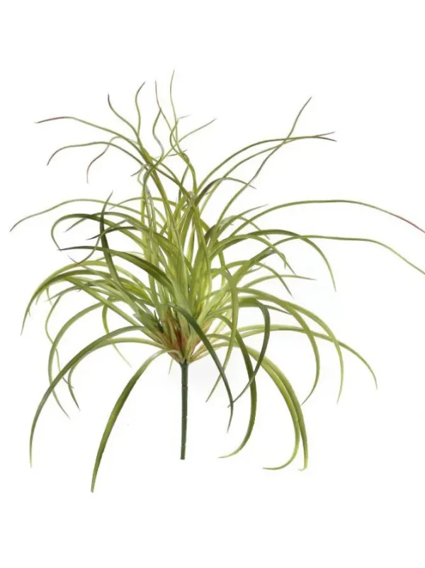 Curly Grass Bush 20 in. Green