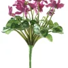 Cyclamen Stem 11 in. Fuchsia