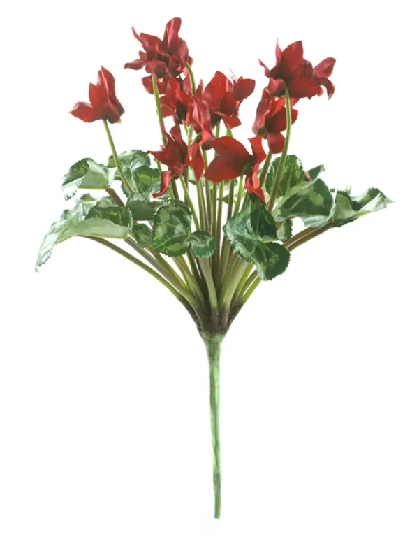 Cyclamen Stem 11 in. Red