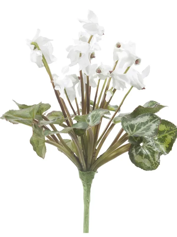 Cyclamen Stem 11 in. White