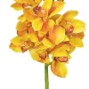 Cymbidium Orchid 19 in. Gold