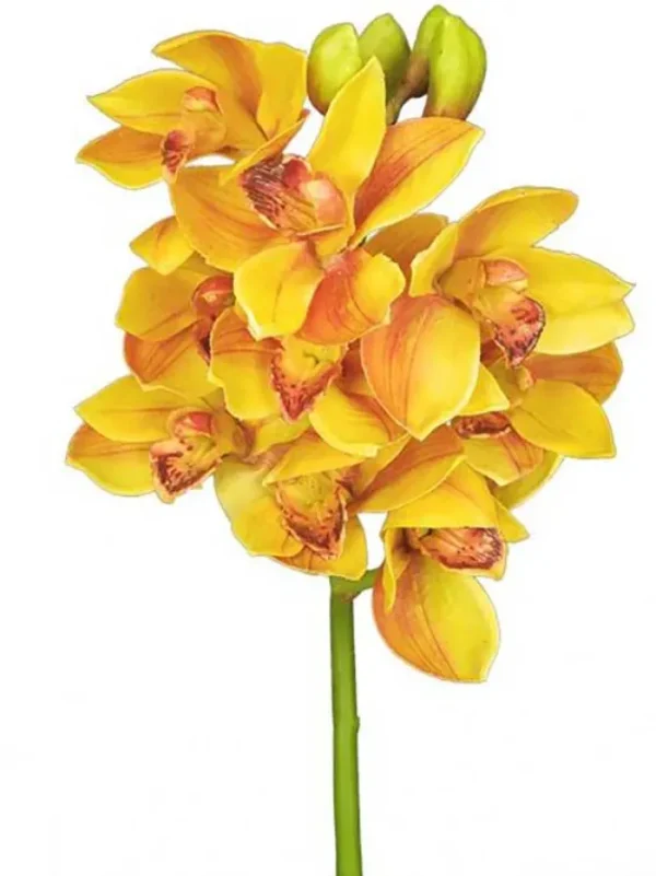 Cymbidium Orchid 19 in. Gold