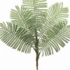 Delonix Regia Leaf Spray 44 in. Green