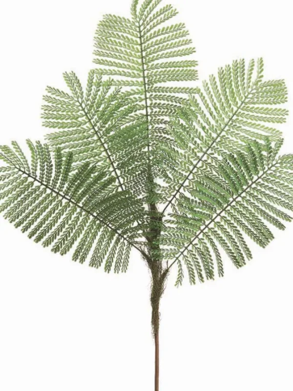 Delonix Regia Leaf Spray 44 in. Green