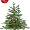 Deluxe Canyon Spruce Always Lit 3 FT