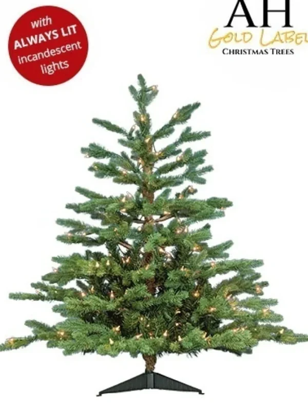 Deluxe Canyon Spruce Always Lit 3 FT