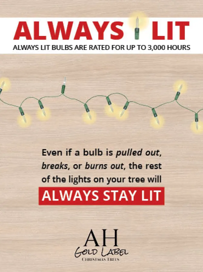 deluxe_canyon_spruce_alwa_1-1.webp Deluxe Canyon Spruce Always Lit 7.5 FT