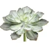 Echeveria 8in Green/Grey