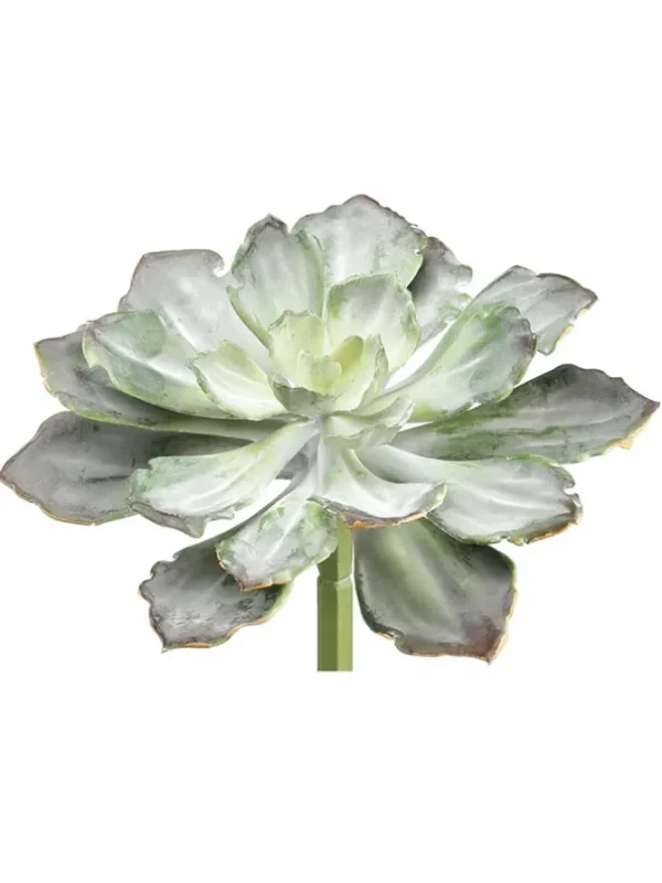 Echeveria 8in Green/Grey
