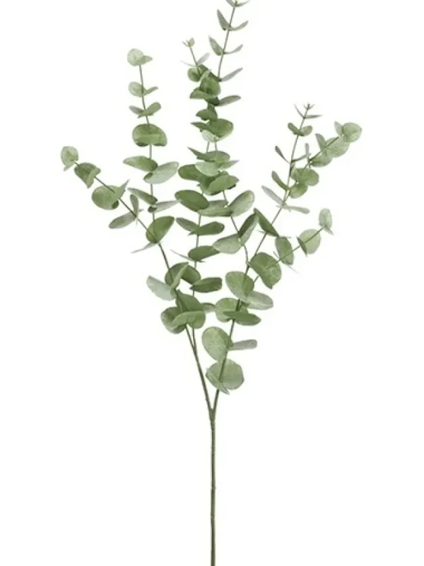 Eucalyptus 40 in. Green
