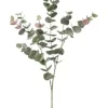 Eucalyptus 40 in. Green / Burgundy