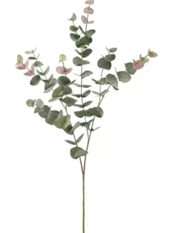 Eucalyptus 40 in. Green / Burgundy