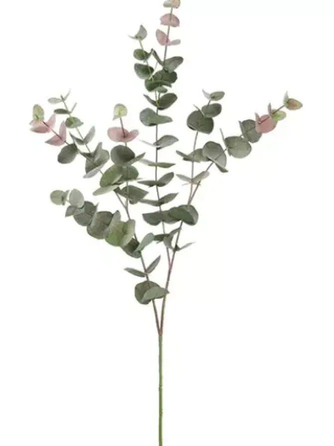 eucalyptus__in_green__bur_0.webp Eucalyptus 40 in. Green / Burgundy