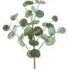 Eucalyptus Spray 29 in. Green