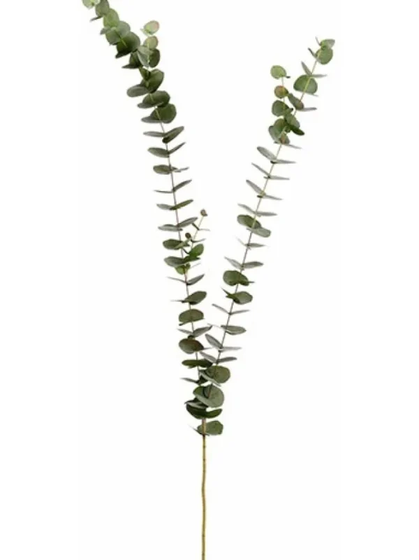 Eucalyptus Spray 61 in. Green / Gray